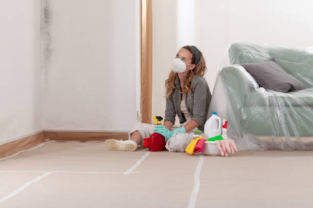 Reliable Mold Testing contractor in La Center, WA by WQB Mold Removal